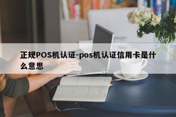 蒸湘正规POS机认证-pos机认证信用卡是什么意思