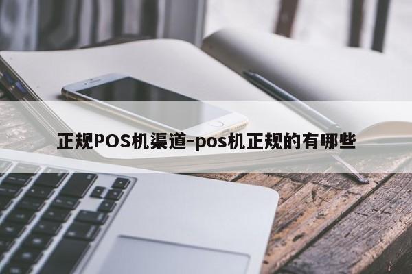 蒸湘正规POS机渠道-pos机正规的有哪些